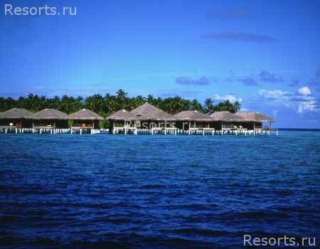 Filitheyo Island Resort 5